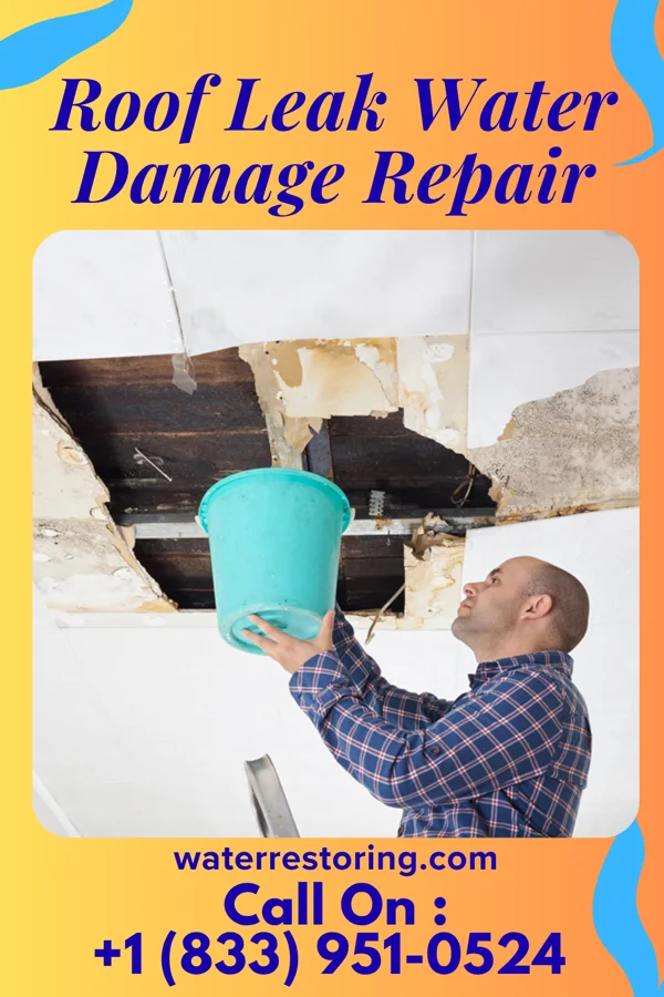 Roof Leak Water Damage Repair in Wagon Wheel, AZ